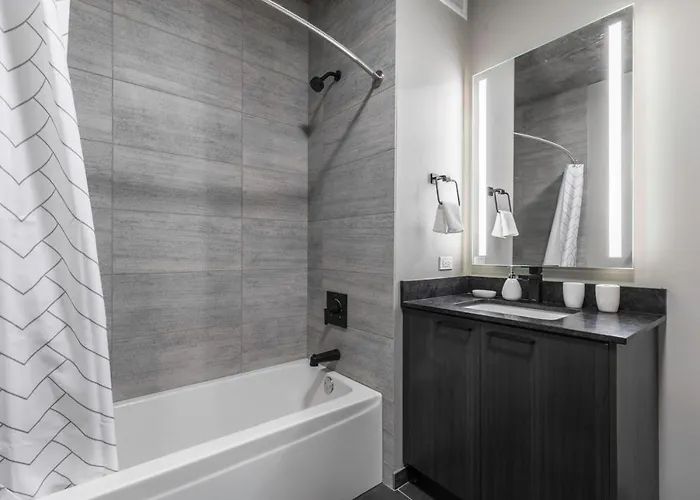 W Loop 1br W Gym Pool Wd Nr Fulton Mkt Chi-213 Apartment *