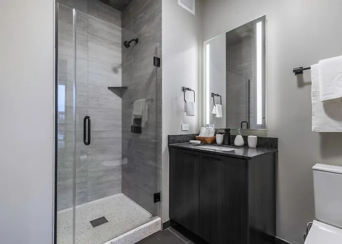 W Loop 1br W Gym Pool Wd Nr Fulton Mkt Chi-213 Chicago
